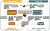 Migration IDEAL DATACOM vers COBOL DB2